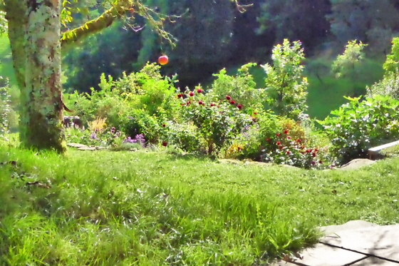 Apfelbaum und Rosen mit Tal-560 Apfelbaum und Rosen mit Tal-560