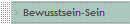 Bewusstsein-Sein