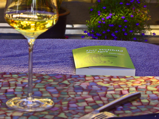 P1000772-Terrasse mit Buch, sharpen2, opt8, pse7-560 P1000772-Terrasse mit Buch, sharpen2, opt8, pse7-560